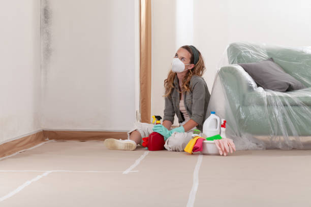Reliable Mold Remediation contractor in Garrett Park, MD by 24 Hour Mold Removal