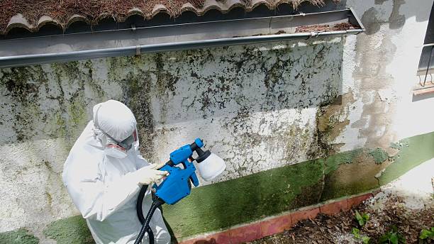 Top rated local Mold Remediation specialists in Garrett Park, MD